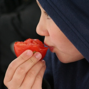 Tómatar eru góðir!