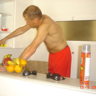 Fararstjóri í heimilisstörfunum.