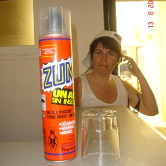 Staðalbúnaður fararstjóranna.