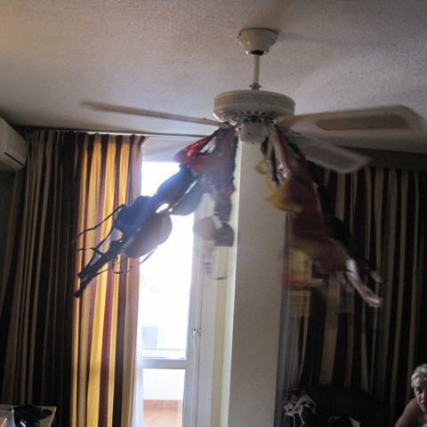 Óðinsstúkur í ónefndu herbergi sýna hugmyndaflug við að þurrka nærfötin sín.