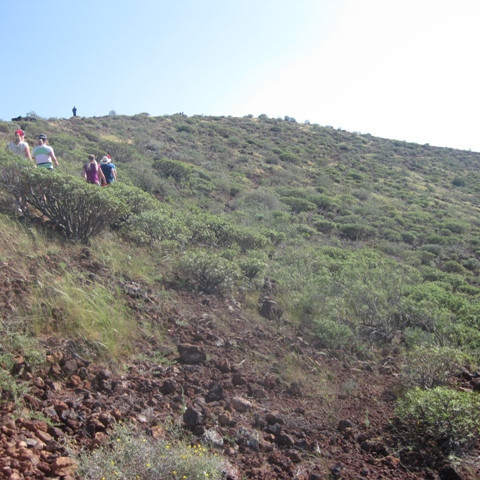 Toppurinn í augsýn.