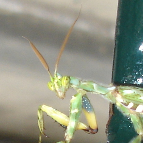 Og skoðaði okkur gaumgæfilega.