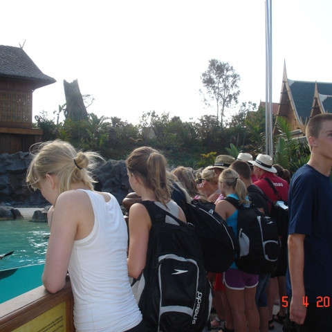 Fylgst með selunum.