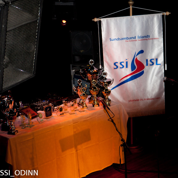 -ssi-odinn-ami-2011-v2-8