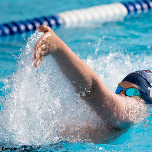 ami2_2015_saevar-156