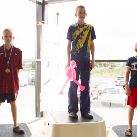 ami_22_06-2012_saevar-22