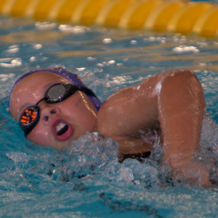 ami_23_06-2012_saevar-3