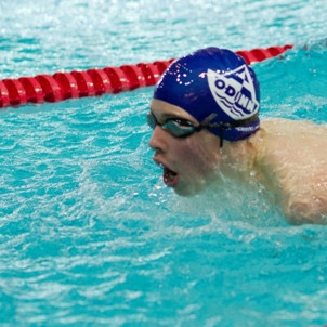 gull-kr-2011-d2-1-of-138-