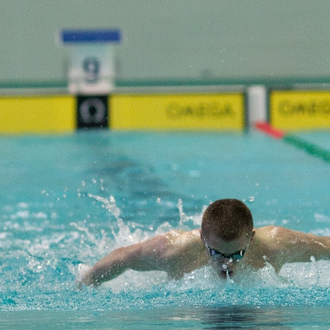 gull-kr-2011-d2-11-of-138-