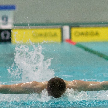 gull-kr-2011-d2-12-of-138-