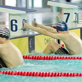 gull-kr-2011-d2-39-of-138-