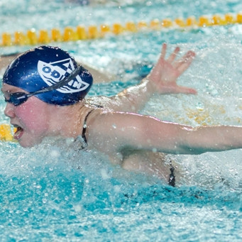 gull-kr-2011-d2-4-of-138-