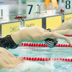 gull-kr-2011-d2-40-of-138-