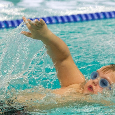 gull-kr-2011-d2-47-of-138-