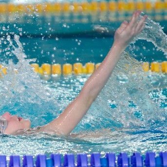 gull-kr-2011-d2-51-of-138-