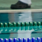 gull-kr-2011-d2-54-of-138-