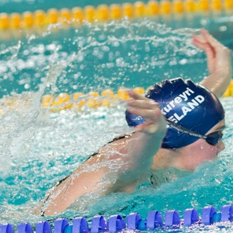 gull-kr-2011-d2-7-of-138-