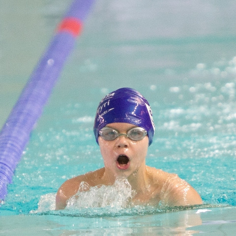 gull-kr-2011-d2-70-of-138-