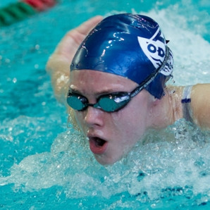 gull-kr-2011-d2-8-of-138-