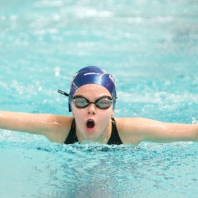 gull-kr-2011-d2-80-of-138-