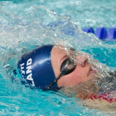 gull-kr-2011-d3-10-of-72-