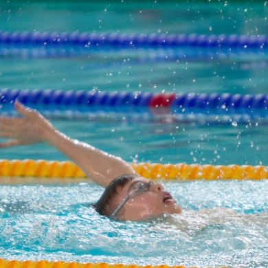 gull-kr-2011-d3-11-of-72-