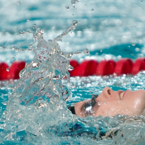 gull-kr-2011-d3-12-of-72-