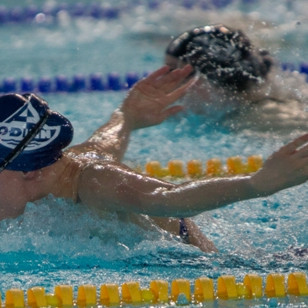 gull-kr-2011-d3-3-of-72-