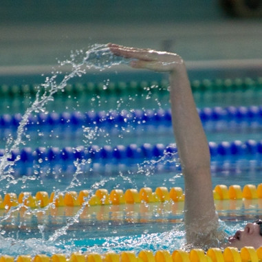 gull-kr-2011-d3-4-of-72-